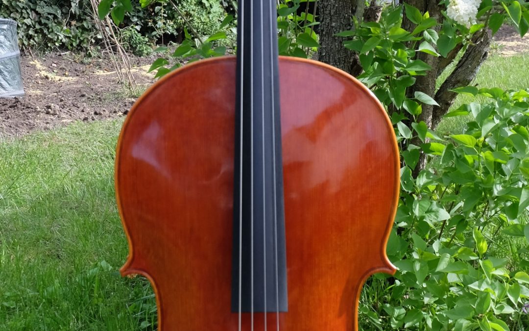 Cello Martin Krause 2017